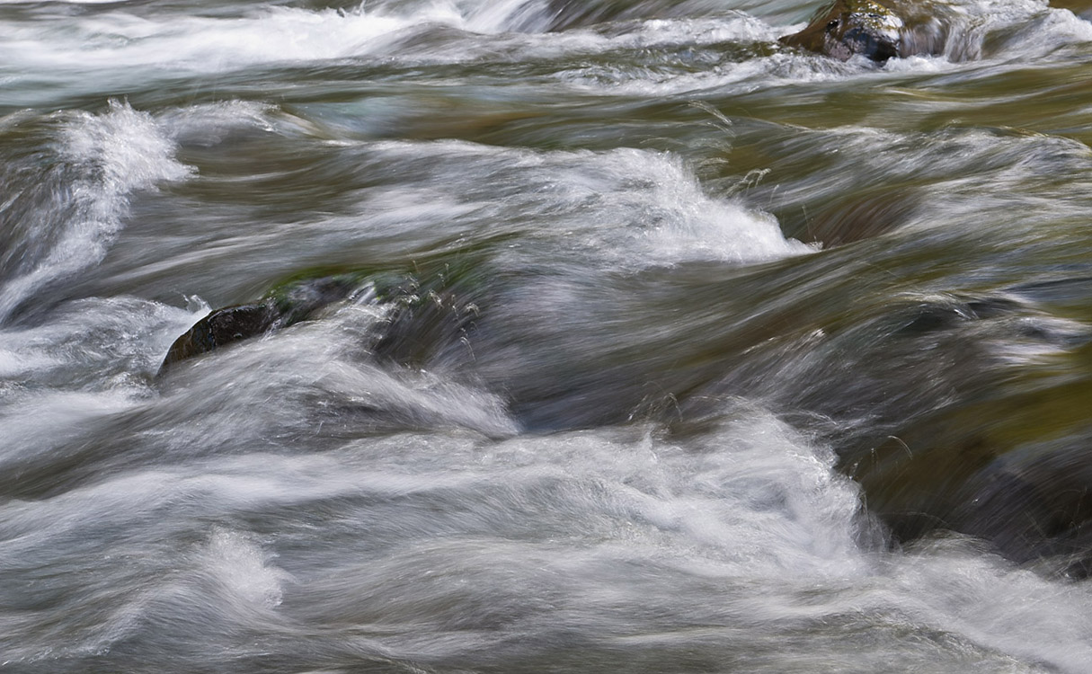Duckabush-River-2014-06-01-by-Mike-Bay-117