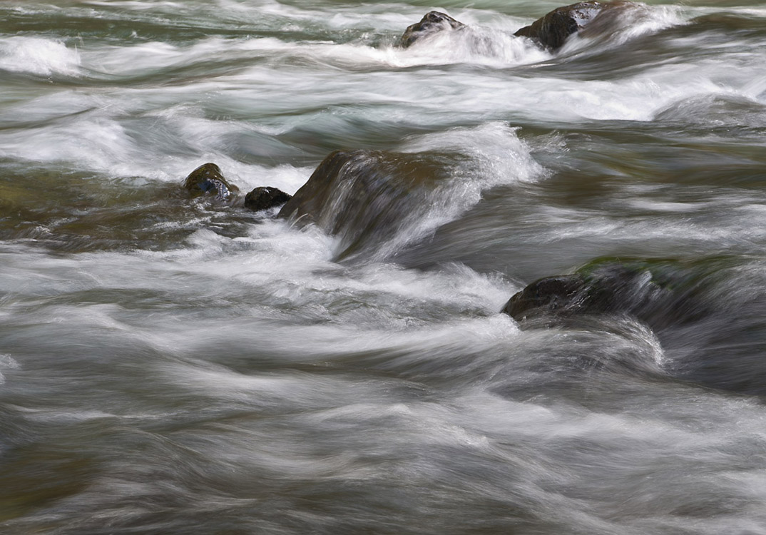 Duckabush-River-2014-06-01-by-Mike-Bay-143