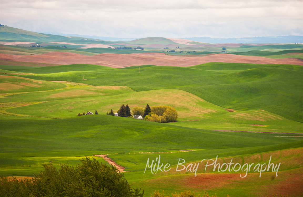 Steptoe-Butte-2013-05-29by-Mike-Bay--048-A