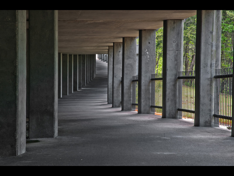 MIKE BAY PHOTOGRAPHY 037