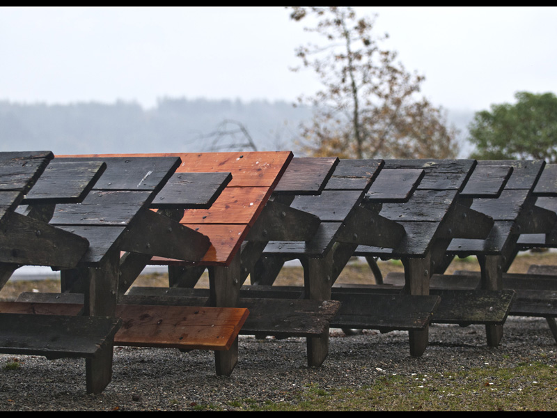 MIKE BAY PHOTOGRAPHY 038