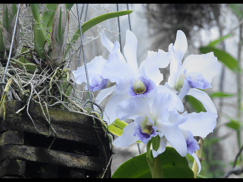 MIKE BAY PHOTOGRAPHY 044