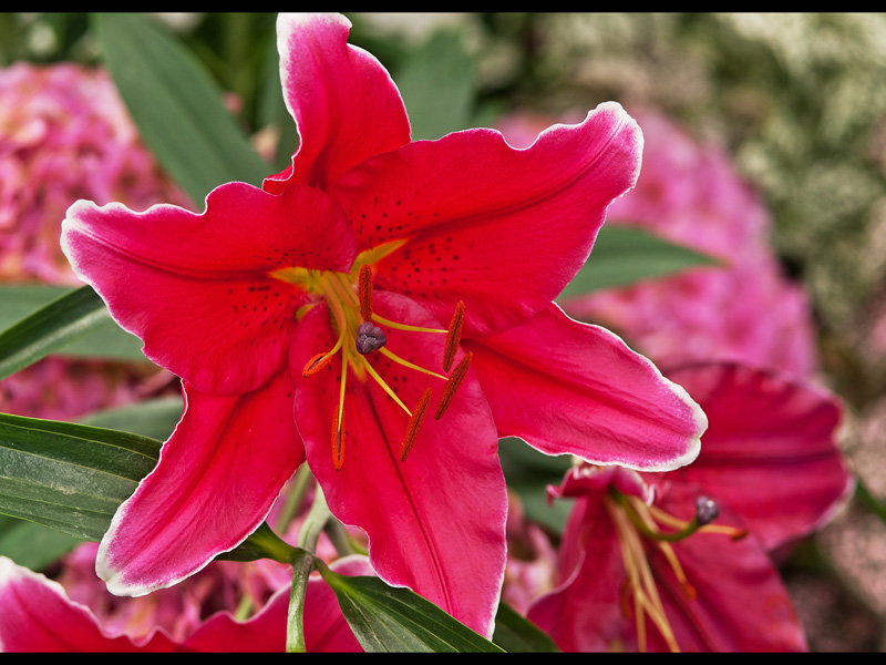 MIKE BAY PHOTOGRAPHY 045