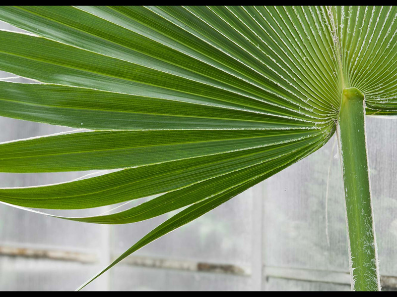 MIKE BAY PHOTOGRAPHY 047