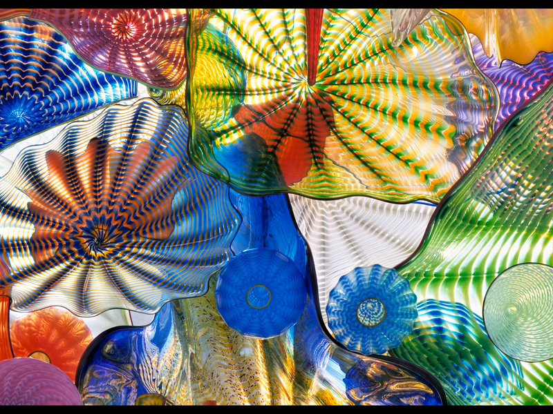 MIKE BAY PHOTOGRAPHY 060