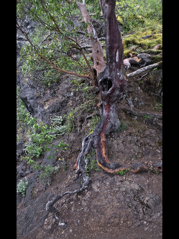 MIKE BAY PHOTOGRAPHY 066