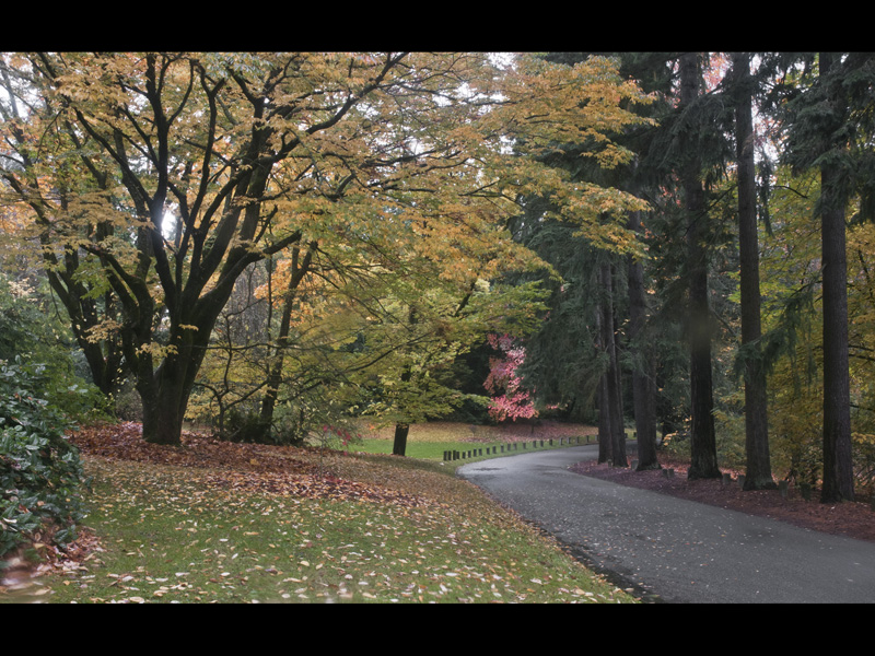MIKE BAY PHOTOGRAPHY 090