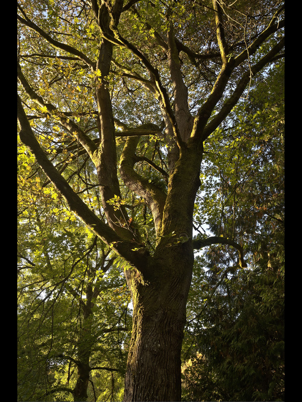MIKE BAY PHOTOGRAPHY 091