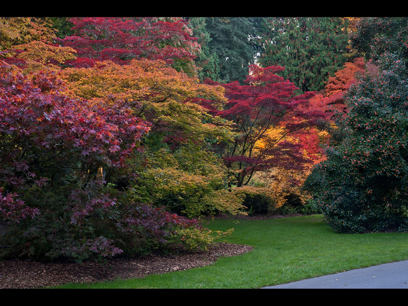MIKE BAY PHOTOGRAPHY 137