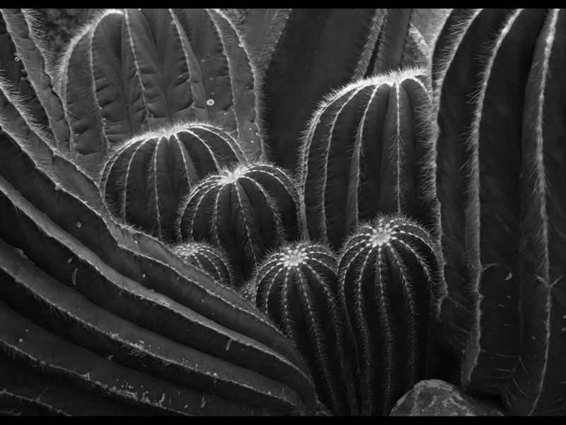 MIKE BAY PHOTOGRAPHY 144