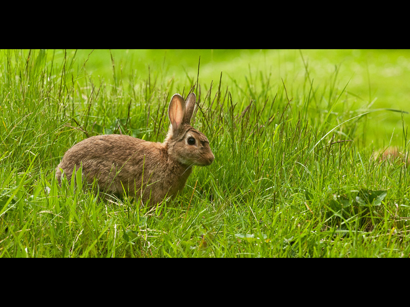 MIKE BAY PHOTOGRAPHY 146