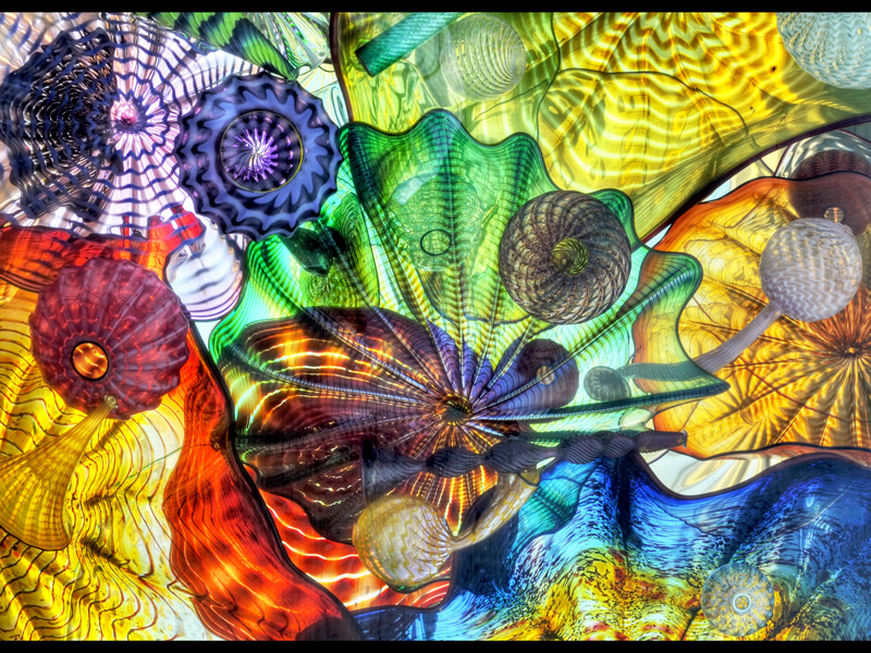 MIKE BAY PHOTOGRAPHY 166