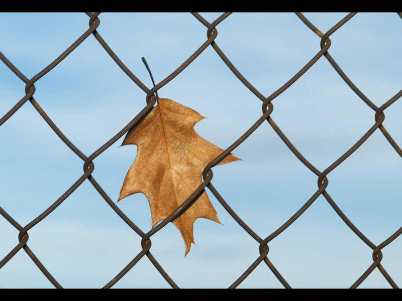 MIKE BAY PHOTOGRAPHY 199