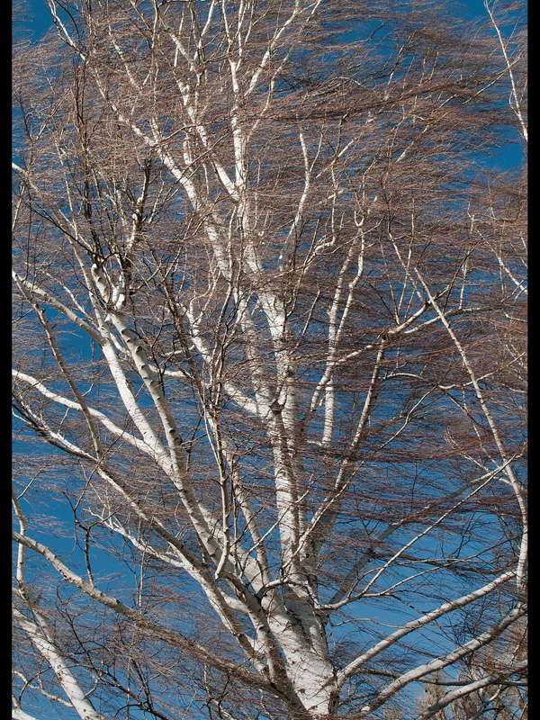 MIKE BAY PHOTOGRAPHY 222