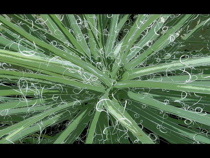 MIKE BAY PHOTOGRAPHY 290