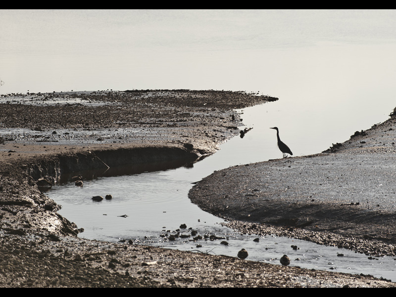 MIKE BAY PHOTOGRAPHY 296