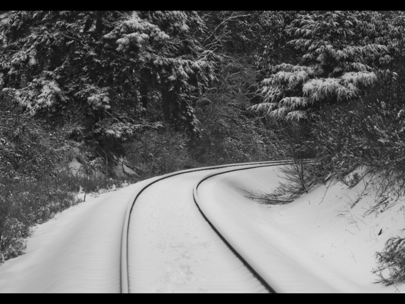 MIKE BAY PHOTOGRAPHY 305