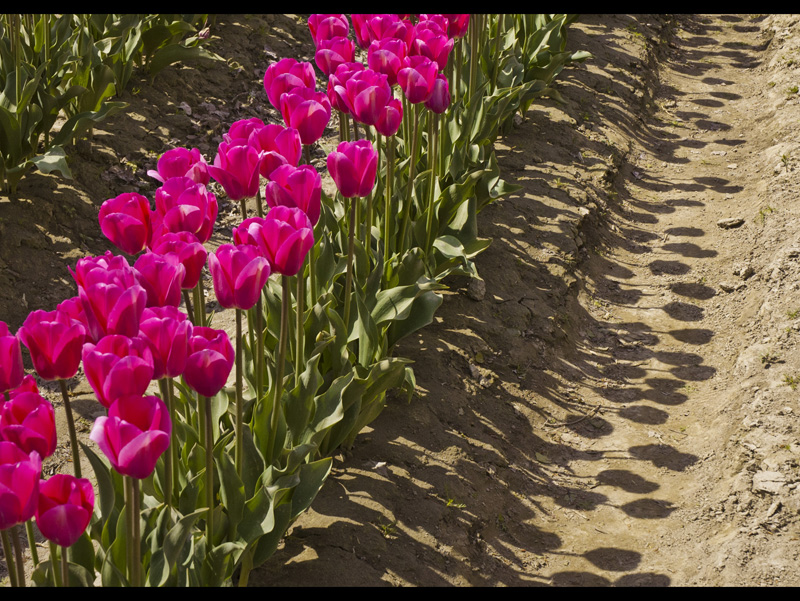 MIKE BAY PHOTOGRAPHY 321