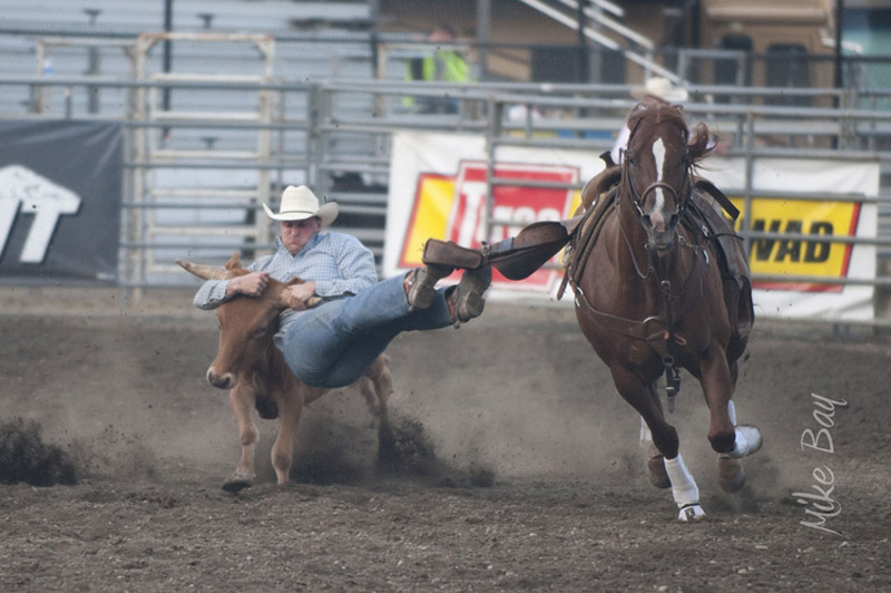 MIKE BAY PHOTOGRAPHY 348