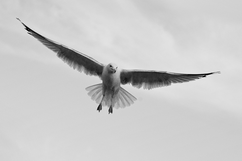 MIKE BAY PHOTOGRAPHY 375
