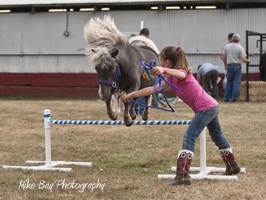 Kitsap Fair 2013-08-22 by Mike Bay 0366 A iPAD 11