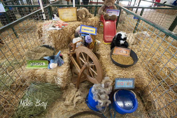 Kitsap Fair and Stampede 2014-08-21 by Mike Bay 1522A