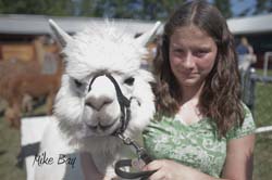 Kitsap Fair and Stampede 2014-08-21 by Mike Bay 1604A