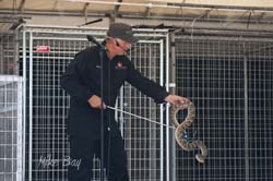 Kitsap Fair and Stampede 2014-08-23 by Mike Bay 4876PSD
