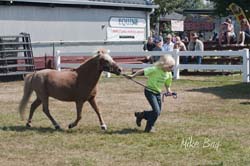 Kitsap Fair and Stampede 2014-08-24 by Mike Bay 6268A