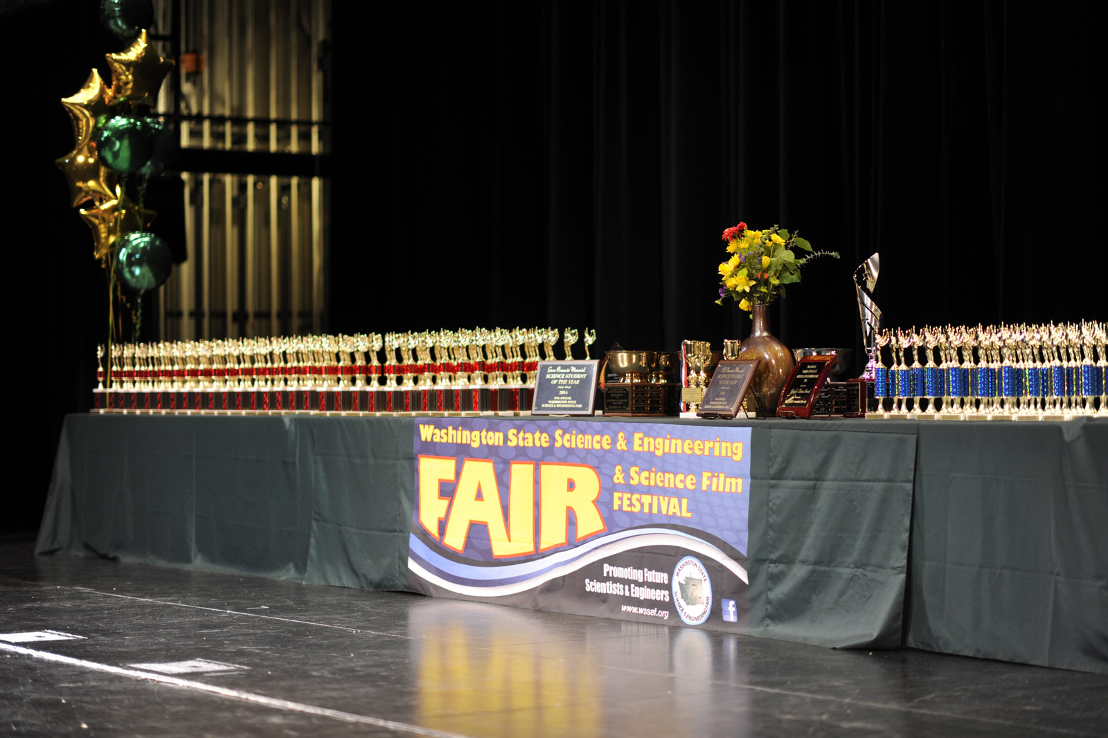 Science Fair 2016-04-02 by Mike Bay D3S  164